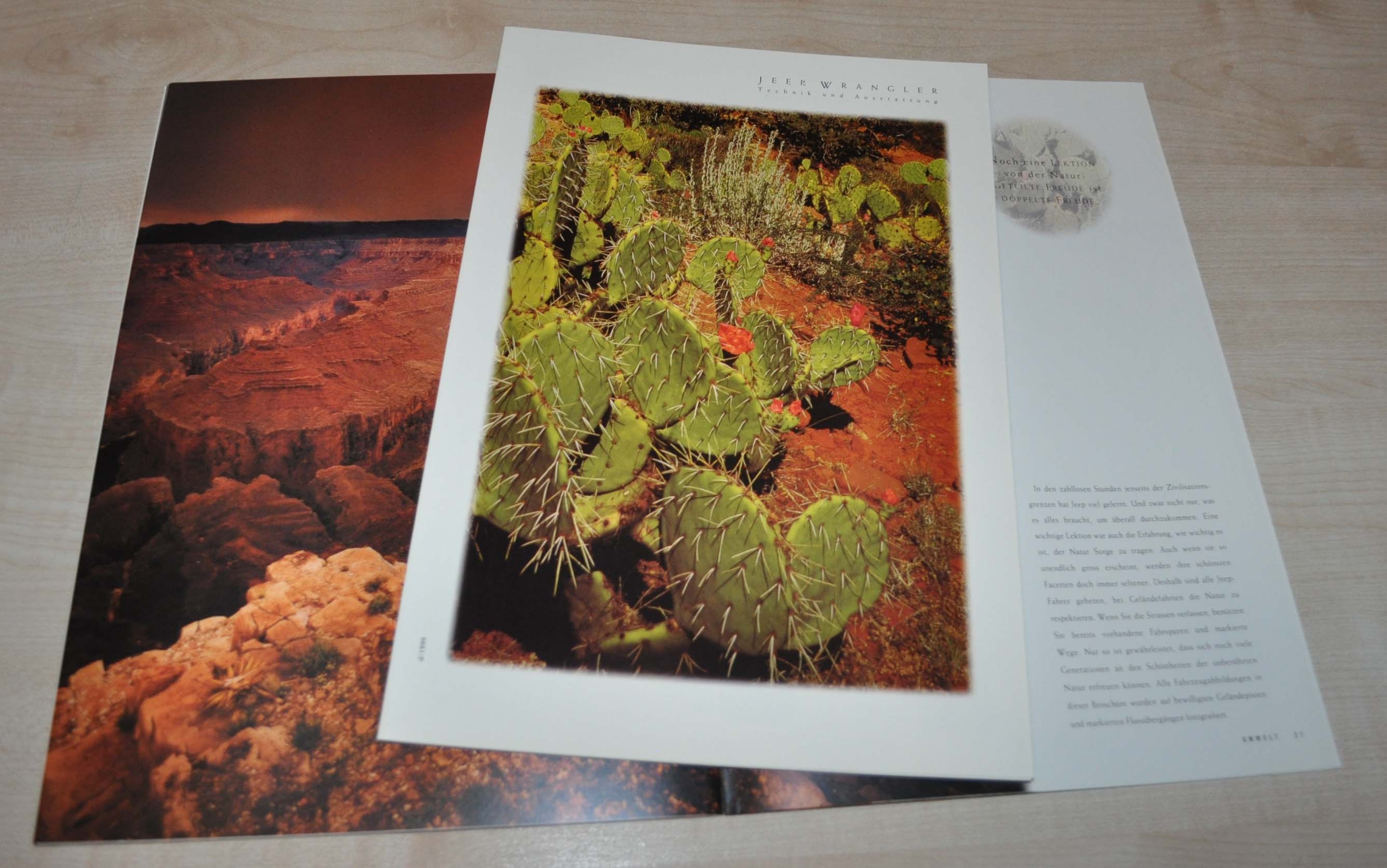 1998 1999 Jeep Wrangler Catalog Sales Dealer Brochure Prospekt DE